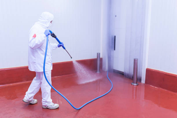 Best Patio and Deck Pressure Washing  in Mount Washington, KY